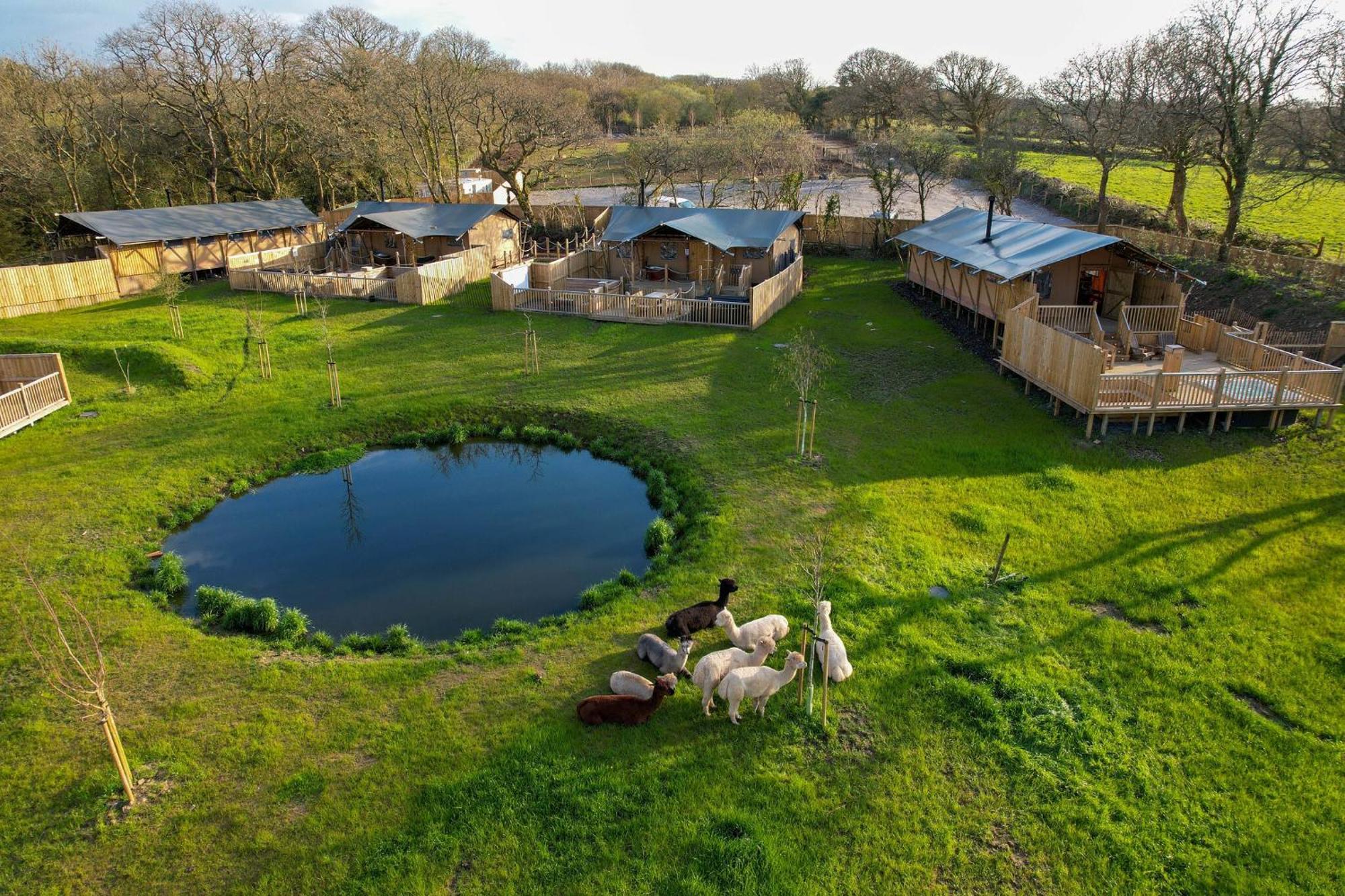 Jungle Book Safari Tent 텐비 외부 사진