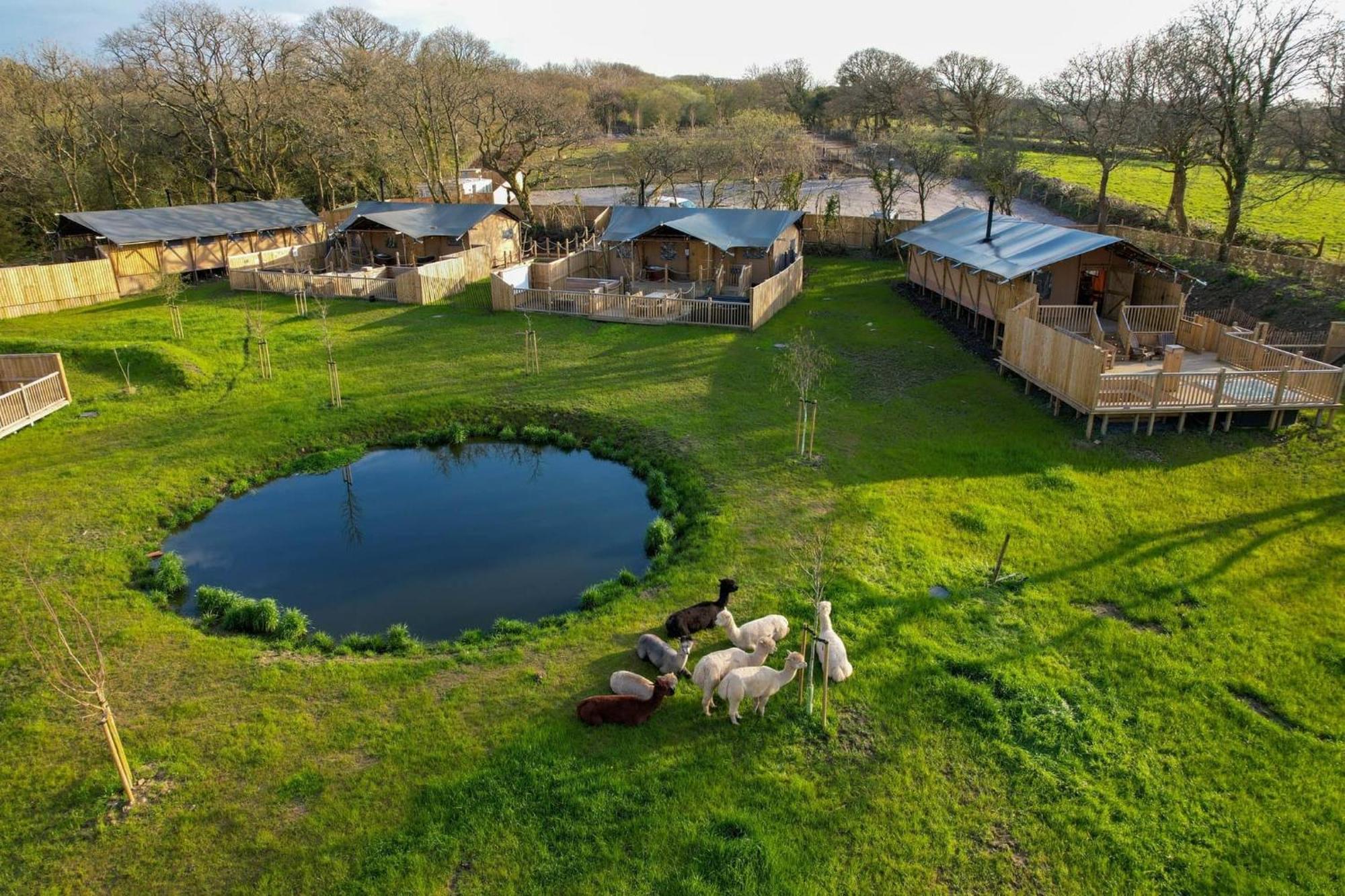 Jungle Book Safari Tent 텐비 외부 사진